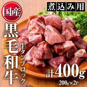 yӂ邳Ɣ[Łzјa^ؗubN(v400g)Y  јa a ^ V`[ ύ ē Ⓚ yJ~`Nz