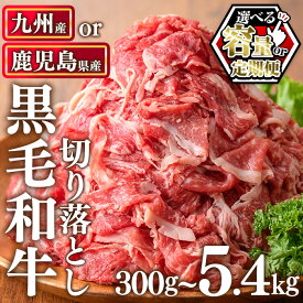 【ふるさと納税】＜容量・定期便選べる！＞九州産 or 鹿児島県産 黒毛和牛切り落とし(計300g～5.4kg) 牛肉 切落し 切り落し 和牛 冷凍 国産 小分け 国産牛 お肉 牛丼 野菜炒め カレー 冷凍 定期便 寄附額改定 小分け【LRプラスK】
