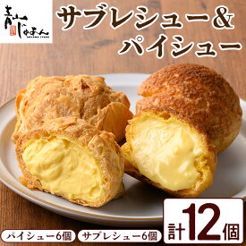 【ふるさと納税】薩摩77万石溶岩サブレシュー＆パイシュー(12個入) 鹿児島 日置市 特産品 お菓子 洋菓子 菓子 おかし スイーツ おやつ パイ シュークリーム カスタード クリーム 冷凍 冷凍配送 ギフト【青山じゅあん】