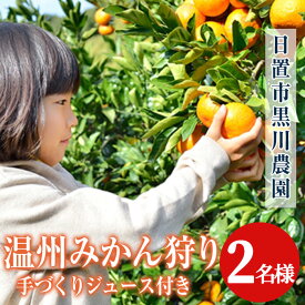 【ふるさと納税】温州みかん狩り(2名分)＆人気のジュース付き(2本)！ 不知火 みかん狩り 体験 日置市 果物 果実 フルーツ 柑橘 みかん ミカン ジュース ミカンジュース 期間限定【黒川農園】