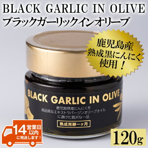 yӂ邳Ɣ[ŁzubNK[bNCI[u(120g×1{EŌ`60g) BLACK GARLIC IN OLIVE jjN ɂɂ ɂɂ K[bN  I[u yI[uz