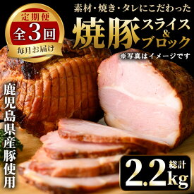 【ふるさと納税】＜定期便・全3回＞鹿児島県産焼豚！(総計2.2kg・100g×6P/300g×2P/500g×2P)タレ付き！ 焼豚 定期便 ギフト 贈答 詰め合わせ 豚肉 タレ 国産 定期便 頒布会【薩摩ファームブロスト】