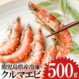 【ふるさと納税】鹿児島県産 冷凍クルマエビ 500g 計20尾 (25g×10尾×2パック) 国産 九州産 鹿児島 日置市 特産品 特産 車海老 くるまえび 活き車えび 車えび 海鮮 魚介【ヒガシマル】