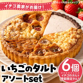 【ふるさと納税】いちごのタルトアソートセット(6種) 国産 スイーツ ケーキ タルト デザート いちご イチゴ 苺 菓子 お菓子 冷凍 ご褒美 プチ贅沢 ギフト 贈答品 ホワイトデー 果物【tubu-ichigo】