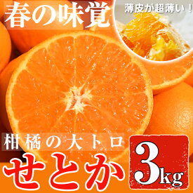 【ふるさと納税】＜先行予約受付中！2026年2月下旬〜3月下旬までの間に発送＞みかんの大トロ！幻の柑橘「せとか」(約3kg) みかん ミカン 柑橘 せとか 青果 果実 鹿児島 常温 常温保存【黒川農園】