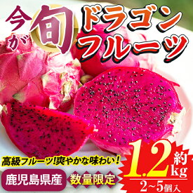 【ふるさと納税】《数量・期間限定》鹿児島県産 ドラゴンフルーツ(約1.2kg) 国産 鹿児島 日置市 産地直送 スイーツ デザート 果実 果物 くだもの フルーツ 栽培期間中 農薬不使用 無農薬 贈り物 贈答品【はまうえ果樹園】