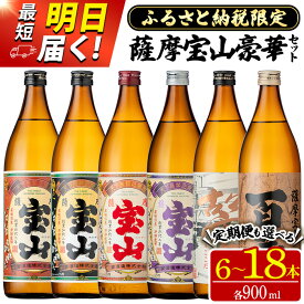 【ふるさと納税】ふるさと納税限定！人気の焼酎！薩摩宝山豪華セット(6銘柄×各900ml 計6本/定期便・6銘柄×各900ml×3回 計18本) 焼酎 酒 アルコール 宝山 芋焼酎 薩摩芋 常温 常温配送 常温保存 セット 飲み比べ 定期便 日置市 最短 当日発送 翌日配送 すぐ届く【西酒造】
