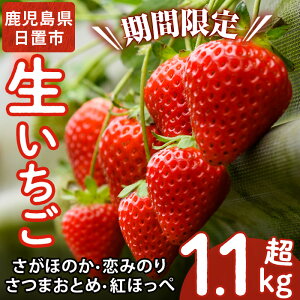yӂ邳Ɣ[Łzs\tI Yuق̂Ê݂E܂Ƃ߁Egق؁v炨͂I(v1.1kgE280g×2P×2) Y BY  C`S t[c ʕ
