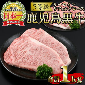yӂ邳Ɣ[Łz5(E-301)T[CXe[L2E₫Zbg(v1kg)Y BY   јa a Xe[L XCX T[C u[X [X 