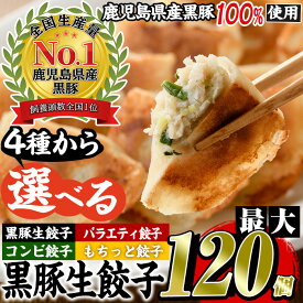 【ふるさと納税】＜発送時期が選べる＞選べる4種！鹿児島黒豚使用の黒豚餃子(黒豚生餃子計96個/バラエティ餃子計96個/黒豚もちっと餃子計120個/黒豚コンビ餃子計108個) 国産 九州産 ぎょうざ ギョウザ 冷凍 黒豚 豚肉 お肉 おかず【末永商店】