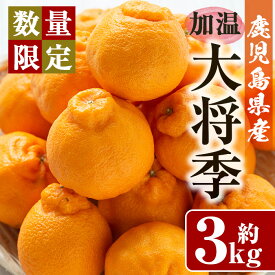 【ふるさと納税】＼先行予約受付中！2026年11月下旬以降発送予定／《期間・数量限定》加温大将季(約3kg・化粧箱入り) 8～12玉入り！国産 九州産 フルーツ 蜜柑 みかん 大将季 ギフト 贈答 数量限定【さつま日置農協北部営農センター】