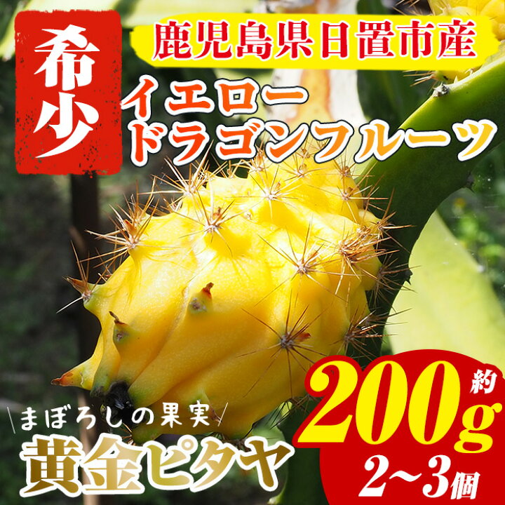 楽天市場】【ふるさと納税】＜数量限定＞鹿児島県産！ 黄金ピタヤ 
