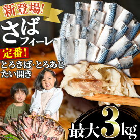 【ふるさと納税】＜選べる＞新登場「無塩とろさばフィーレ」(約1kg～3kg)・人気の「とろさば＆とろあじ開き」(最大14枚)・限定復活「とろさば開き」(10枚)・日置市特産「たいの開き」(5枚) 干物 さば サバ あじ アジ タイ 鯛 魚介類 魚 訳あり 楽天限定 人気【みのだ食品】