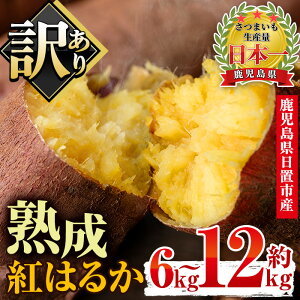 yӂ邳Ɣ[ŁzeʑIׂI󂠂EsIusY܂Ing͂邩(6kg`12kg) Y BY Tc}C ܈ A gt n  Ă ₫ 
