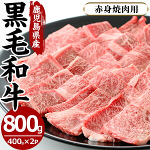 yӂ邳Ɣ[ŁzYјaԐgēp(v800gE400g×2P̓J^ēp) Y BY  јa a ʌ ē Ă BBQ Lv Ⓚy܉YƁz