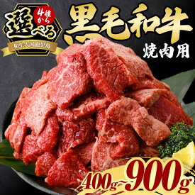 【ふるさと納税】＜4種から選べる！＞鹿児島県産黒毛和牛・焼肉(計400g～900g) 黒毛和牛 牛肉 切落し 切り落し 和牛 冷凍 国産 九州産 小分け お肉 焼き肉 焼肉 訳あり 希少部位 ハラミ サガリ 赤身 霜降り 冷凍 人気 ランキング 数量限定 寄附額改定 A5 A5等級【カミチク】