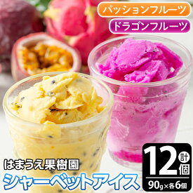 【ふるさと納税】鹿児島県産！フルーツシャーベットアイス(計12個・90g×各6個) パッションフルーツ レッドドラゴンフルーツ 夏ギフト 国産 鹿児島 日置市 スイーツ デザート 果実 果物 くだもの フルーツ ドラゴンフルーツ 贈り物 贈答品 お菓子 アイス 【はまうえ果樹園】