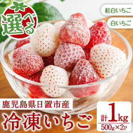 【ふるさと納税】＜選べる！＞冷凍いちご(白/紅白・約500g×2袋・計約1kg) 国産 鹿児島 日置市 加工品 苺 イチゴ いちご 冷凍 果物 くだもの フルーツ 小粒 冷凍果実 アイス スムージー シロップ ジャム 冷凍フルーツ 【ままりあ農園】