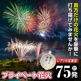 【ふるさと納税】《数量限定》プライベート花火(計75発・レプリカ玉進呈)打揚場所・日時は応相談！【太洋花火】