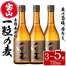 【ふるさと納税】＜本数選べる＞一粒の麦(720ml×3～5本) 焼酎 麦焼酎 酒 アルコール 麦 家飲み 宅飲み 大麦 大麦麹 セット 常温 常温配送 常温保存【西酒造】