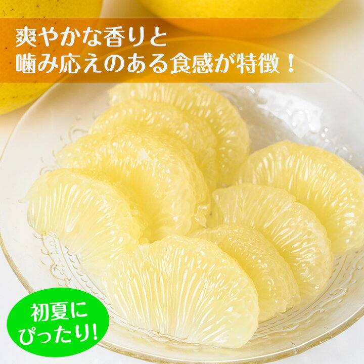 楽天市場】【ふるさと納税】＜数量限定＞サワーポメロ(約10kg)柑橘類 