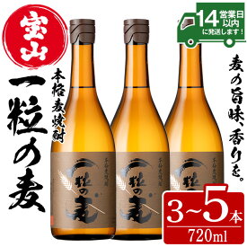 【ふるさと納税】＜本数選べる＞一粒の麦(720ml×3～5本) 焼酎 麦焼酎 酒 アルコール 麦 家飲み 宅飲み 大麦 大麦麹 セット 常温 常温保存【西酒造】