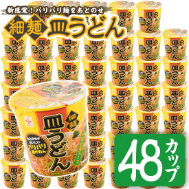 【ふるさと納税】お好みで食べ方選べる♪カップ皿うどん(41.3g×48個)国産 九州産 鹿児島 日置市 特産品 特産 麺 めん 麺類 インスタント カップ麺 乾麺 ギフト 贈り物 贈答用 簡単調理【ヒガシマル】