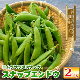 楽天市場 種類 えんどう スナップえんどう えんどう 豆類 野菜 きのこ 食品の通販