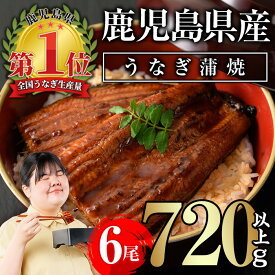 【ふるさと納税】無投薬！鹿児島県産うなぎ蒲焼セット(計720g以上・ 約120g×6尾) タレ・山椒付き 鰻 うなぎ 蒲焼 うな重 ひつまぶし ご褒美【西日本養鰻】