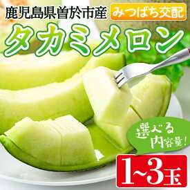 【ふるさと納税】＜選べる内容量＞タカミメロン(1〜3個入) 鹿児島県産 メロン 青肉メロン 青肉 フルーツ 果物 プレゼント 贈り物 贈答用【曽於市観光協会】