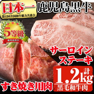 yӂ邳Ɣ[ŁzYјaI5IT[CXe[L(200g×3)EĂ(600g)Zbgv1.2kgI(S-1801)31-D-23 Y јa a   T[C u[X
