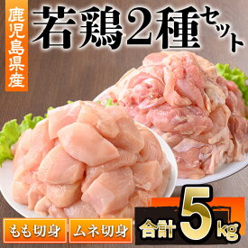 【ふるさと納税】鹿児島県産若鶏もも・ムネセット(合計5kg・各250g×10P) 鹿児島県 若鶏 鶏肉 鶏 肉 もも モモ むね ムネ ムネ切り身 国産 切身 冷凍 鹿児島県産【株式会社羽根】
