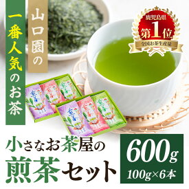【ふるさと納税】＜お茶生産量日本一の鹿児島県産！＞小さいお茶屋の煎茶セット(煎茶100g×6本・合計600g) 国産 鹿児島県産 緑茶 お茶 加工品 煎茶 茶葉 セット ギフト 贈答 茶 生産量 日本一【お茶の山口園】