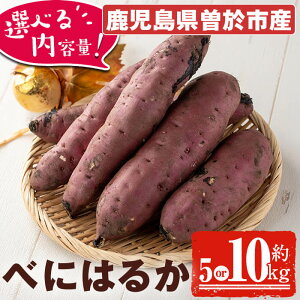 yӂ邳Ɣ[ŁzԌ聄eʂIׂI]sYIV g͂邩(5kg or 10kg)   ܂ F Tc}C g͂邩 V Ă w XC[c Iׂ 5kg 1