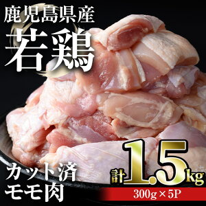 yӂ邳Ɣ[ŁzY{ Jbgς݃(v1.5kgE300g×5pbN) Y Y  Ⓚ { {  Jbg Z ^pbNyǂz