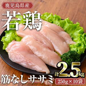 yӂ邳Ɣ[ŁzY{ ؂ȂTT~(v2.5kgE250g×10) Y Y  Ⓚ ^pbN { { {   TT~ ؂ȂyTRINITYz