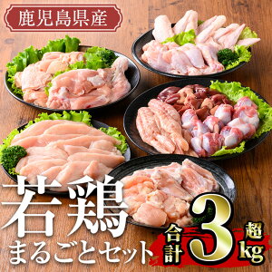 yӂ邳Ɣ[ŁzY {܂邲ƃZbg(v3.05kg) Y Y  Ⓚ ^pbN { { {    ނ˓ l  TT~ ؂Ȃ   H `L