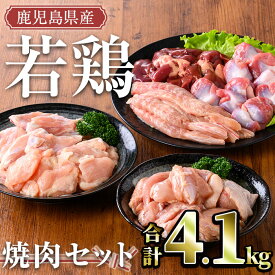 【ふるさと納税】鹿児島県産 若鶏焼肉セット(計4.1kg) 国産 鹿児島県産 小分け 冷凍 真空パック 若鶏 鶏肉 鶏 肉 もも肉 モモ肉 砂肝 肝 チキンリブ 肩肉 小肉 焼肉 セット 詰め合わせ【TRINITY】