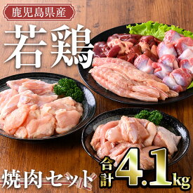 【ふるさと納税】鹿児島県産 若鶏焼肉セット(計4.1kg) 国産 鹿児島県産 小分け 冷凍 真空パック 若鶏 鶏肉 鶏 肉 もも肉 モモ肉 砂肝 肝 キチンリブ 肩肉 小肉 焼肉 セット 詰め合わせ【TRINITY】