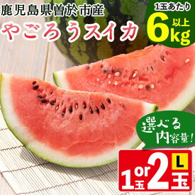 【ふるさと納税】＜2026年7月中旬以降発送予定＞＜選べる内容量＞やごろうスイカ(1〜2個・L玉 1個6kg以上) すいか スイカ 西瓜 鹿児島県産 フルーツ 果物 ギフト 贈り物 プレゼント【曽於市観光協会】