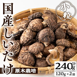 yӂ邳Ɣ[ŁzY(v240gE2)Y  VC^P ̂ LmR 퉷 퉷ۑyT[rX(^}`Vbv)z