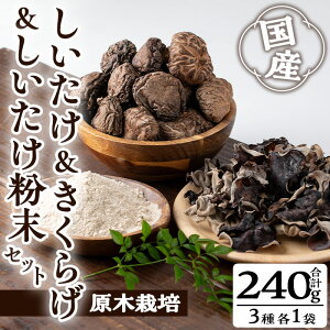 yӂ邳Ɣ[Łz{{炰Zbg(v240gE3)Y  VC^P ̂ LmR  pE_[ 炰 LNQ 퉷 퉷ۑyT[rX(^}`