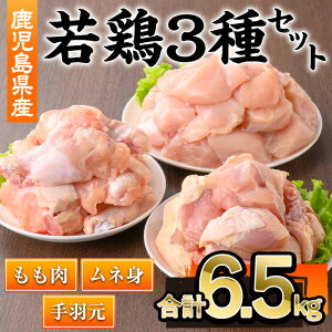 yӂ邳Ɣ[ŁzY{3Zbg(v6.5kg)  { { {    ނ l Y ؐg Ⓚ HyЉHz