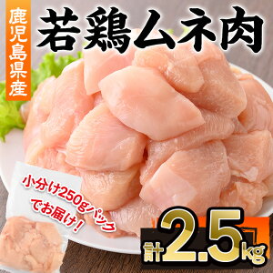 yӂ邳Ɣ[ŁzY{l(v2.5kgE250g×10P)  { { {  ނ l Y ؐg ⓀyЉHz