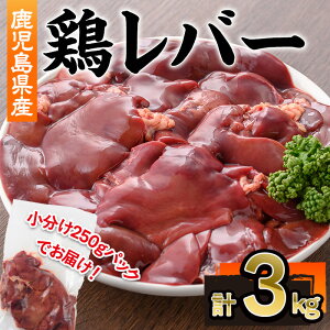 yӂ邳Ɣ[ŁzY{o[(v3kgE250g×12P)  { { {  o[ Y ؐg Ⓚ yЉHz