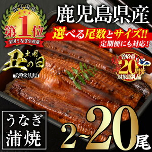 �y�ӂ邳�Ɣ[�Łz�y6���E�v720g�ȏ�F23,000�~�z���T�C�Y�E�����E�z���񐔂��I�ׂ�I��������I���������Y���Ȃ����ăZ�b�g(�v280g�ȏ�`�v2.4kg�ȏ� / ����� �S3�� �v840g�ȏ�E140g�ȏ�×2��×3