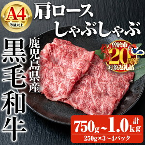 yӂ邳Ɣ[ŁzyʌzeʂIׂIYјaA4ȏ㌨[XԂԗp (v750g{јaܐ؂250g×1PEv1.0kg{јaܐ؂250g×2P) Y 