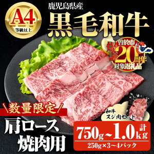 yӂ邳Ɣ[ŁzyʌzeʂIׂIYјaA4ȏ㌨[Xēp (v750g{aXW250g×1PEv1.0kg{aXW250g×2P) Y Y   