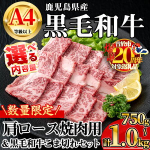 yӂ邳Ɣ[ŁzyʌzeʂIׂIYјaA4ȏ㌨[Xēp (v750g{јaܐ؂250g×1PEv1.0kg{јaܐ؂250g×2P) Y Y 