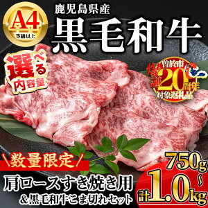 yӂ邳Ɣ[ŁzyʌzeʂIׂIYјaA4ȏ㌨[XĂp (v750g{јaܐ؂250g×1PEv1.0kg{јaܐ؂250g×2P) Y 